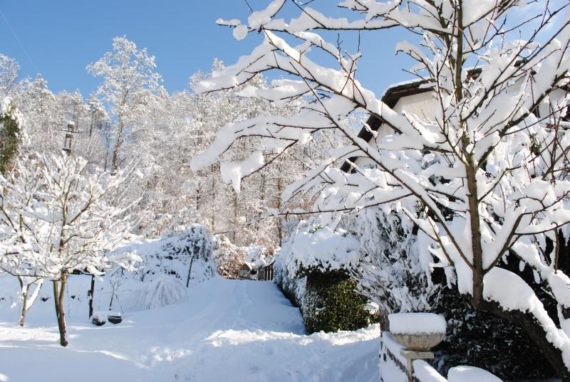 Il Ghiro B&B Рикко-дель-Гольфо-ди-Специя Экстерьер фото