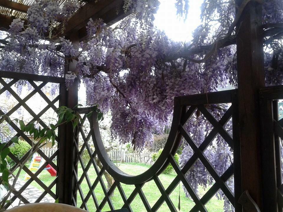 Il Ghiro B&B Рикко-дель-Гольфо-ди-Специя Экстерьер фото