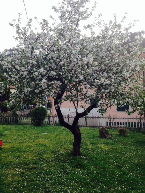 Il Ghiro B&B Рикко-дель-Гольфо-ди-Специя Экстерьер фото