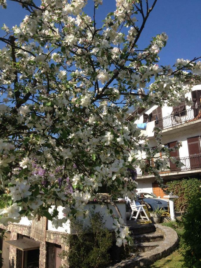 Il Ghiro B&B Рикко-дель-Гольфо-ди-Специя Экстерьер фото