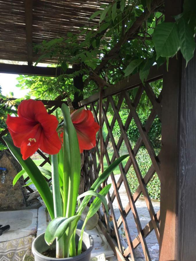 Il Ghiro B&B Рикко-дель-Гольфо-ди-Специя Экстерьер фото